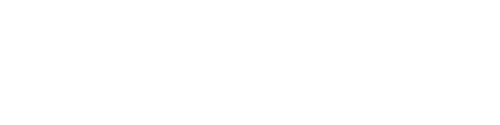 bagFortress